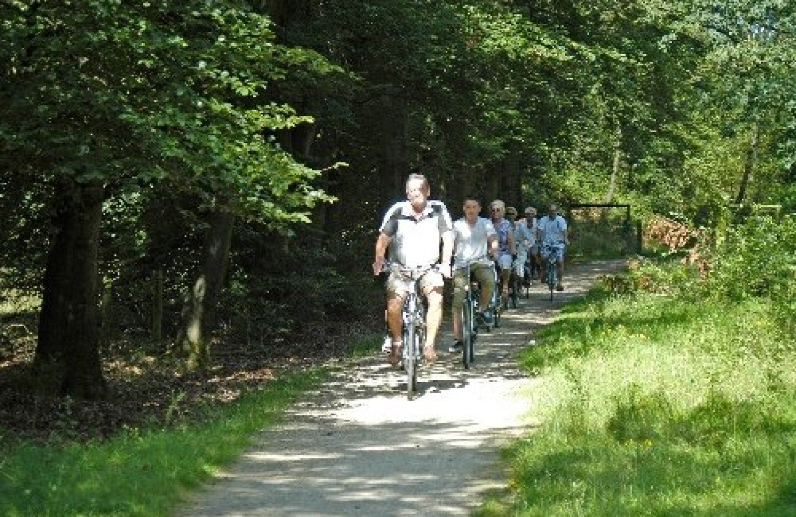 50-plus camping Veluwe