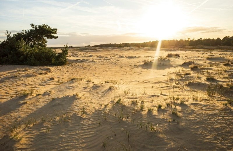 Het Kootwijkerzand