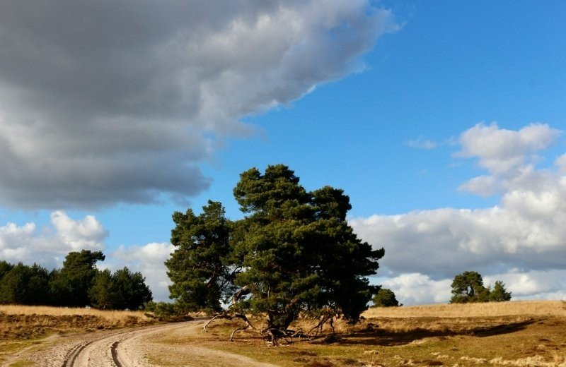 Nationaal Park Hoge Veluwe