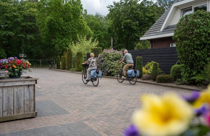 Fietsen op de Veluwe