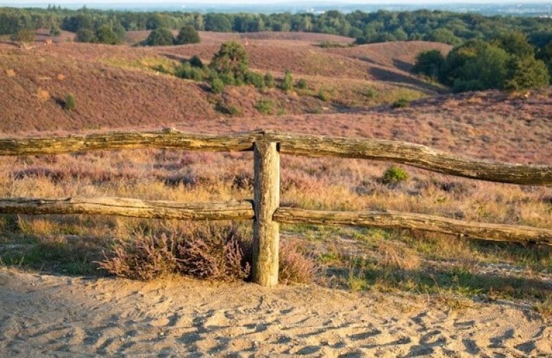 Natuur & Cultuur